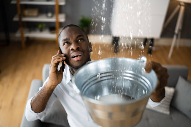 Best Ceiling water damage repair  in Steilacoom, WA