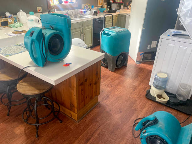 Best Water damage contractors near me  in Steilacoom, WA