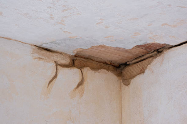 Best 24/7 water damage repair  in Steilacoom, WA