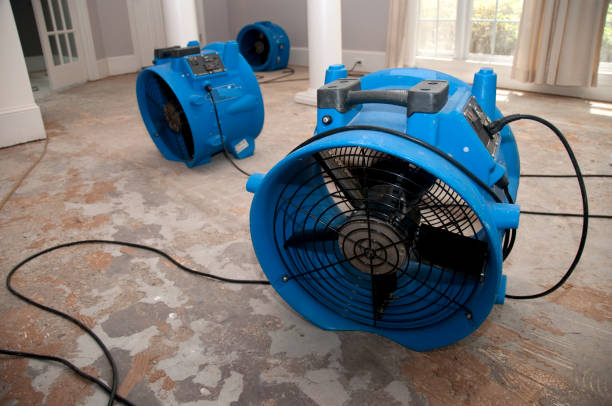 Best Emergency water damage restoration  in Steilacoom, WA