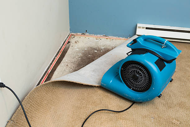 Best Flood damage cleanup  in Steilacoom, WA